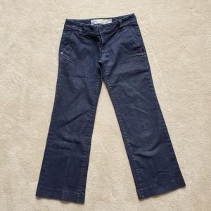 NWOT Ann Taylor LOFT Trouser Fit Jeans